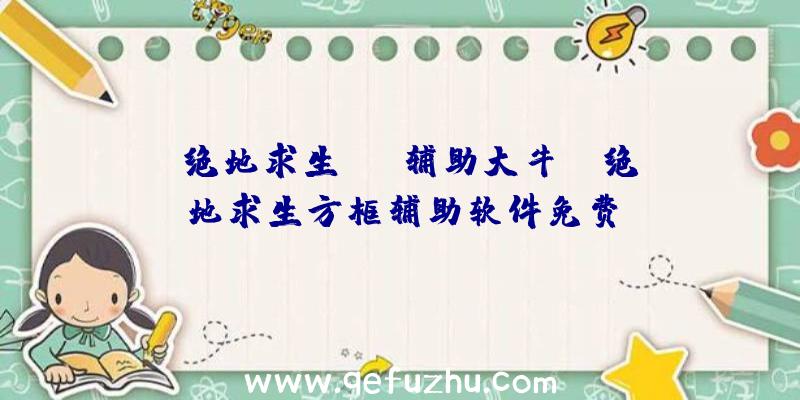 「绝地求生rng辅助大牛」|绝地求生方框辅助软件免费